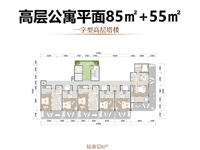公寓建筑 高层公寓平面 85与55㎡