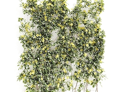 藤蔓