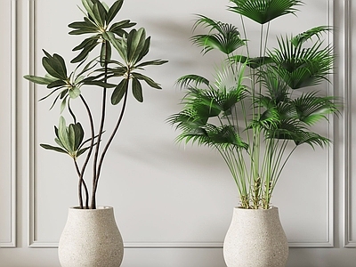 现代简约植物堆 现代盆栽绿植
