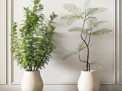极简植物堆 现代盆栽绿植