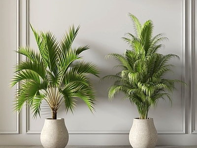 极简植物堆 现代盆栽绿植
