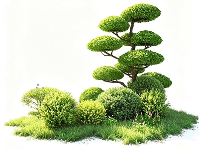 日式景观树 景观树 植物组合 花草灌木 灌木组合 花镜植物