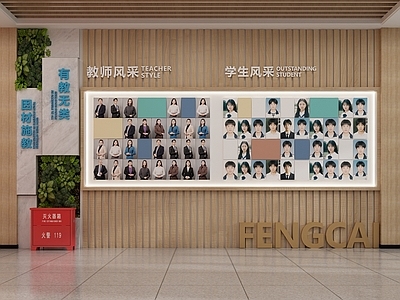 现代文化墙 学校风采墙 照片墙