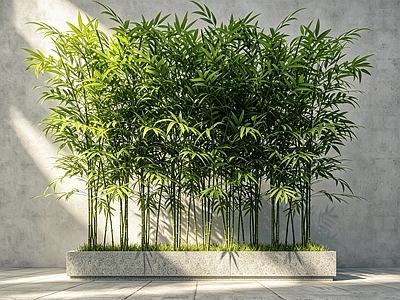 新中式竹子 现代景观竹 仿真竹 园艺竹子