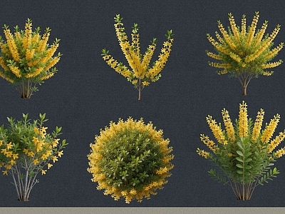 极简灌木 2D植物 花灌木 连翘 绿化雕塑 绿植