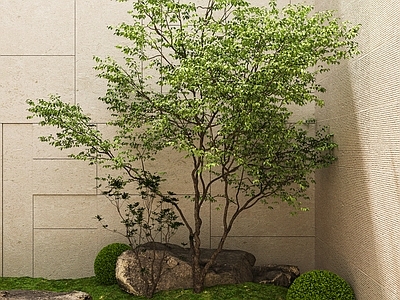 新中式景观室内景观