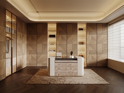 轻奢衣帽间 衣柜 首饰柜