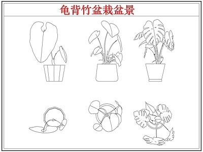 绿植 龟背竹盆栽盆景