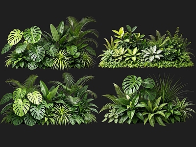 现代花境 2D室内植物组团 热带植物组团 花卉花镜 花草植物组合 花草花丛