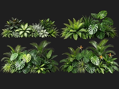 现代植物组合 2D室内植物组团 热带植物组团 花卉花镜 花草植物组合 花草花丛