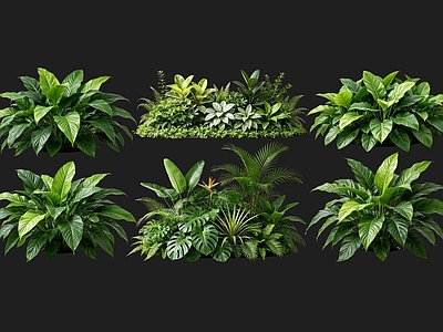 现代花境 2D室内植物组团 热带植物组团 花卉花镜 花草植物组合 花草花丛