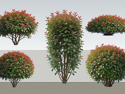 现代灌木 2D植物 丛生灌木 红叶石 绿化雕塑 绿植