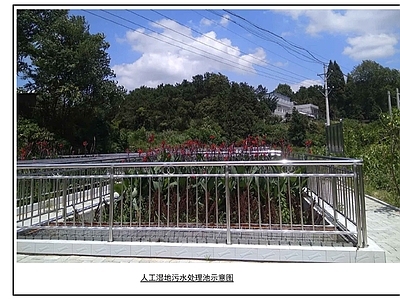 污水提升系统 水处理 人工湿地 污水处理池 污水 乡村振兴