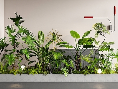 现代花境 植物堆 室内景观 植物组合 花箱 花池花坛