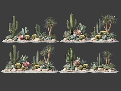现代主义沙漠植物 2D仙人掌组合 多肉植物 仙人球 沙漠植物造景 沙生植物