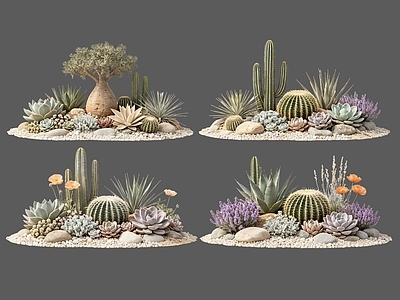 现代主义沙漠植物 2D仙人掌组合 多肉植物 仙人球 沙漠植物造景 沙生植物