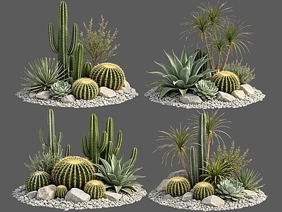 现代主义沙漠植物 2D仙人掌组合 多肉植物 仙人球 沙漠植物造景 沙生植物