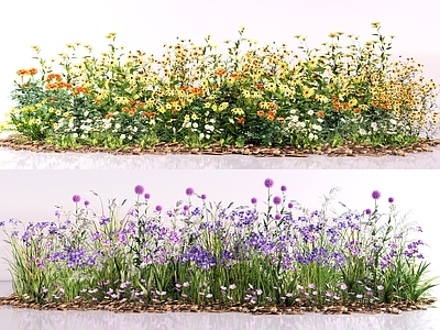 现代主义花境 自然野趣花境 庭院植物景观造景 灌木花草花卉花池 黄色菊类花系 粉紫花系球葱