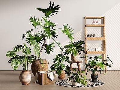 原木风盆栽 网红森林系盆栽 春羽盆栽 龟背竹盆栽 绿萝盆栽 植物组合