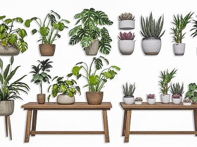 原木风草本植物 室内植物盆栽摆件 落地植物摆件 多肉绿植 龟背竹 植物盆栽组合摆件