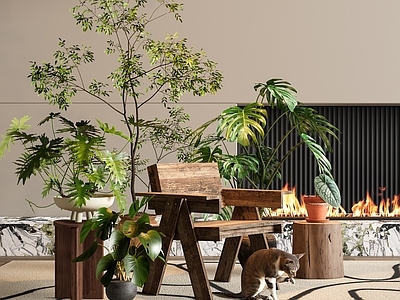 中古风盆栽 森林系盆栽 植物盆栽 龟背竹盆栽 春羽盆栽 吊钟盆栽