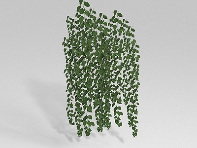 藤蔓 植被 藤曼 绿植 植物 爬山虎