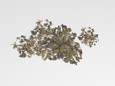 植物堆 枯黄落叶 树叶 植被 地被 绿植