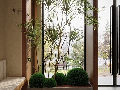 现代简约景观树 景观植物造景窗景