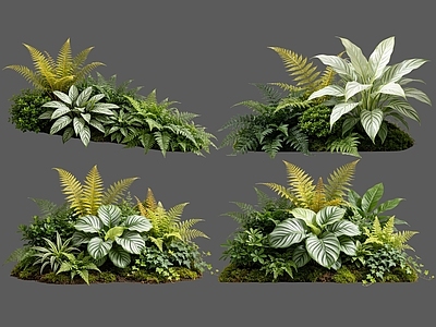 现代主义花境 2D室内植物组团 热带植物组团 花卉花镜 花草植物组合 花草花丛