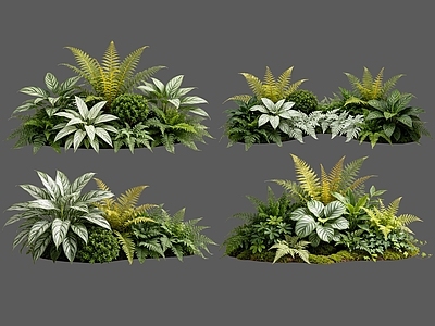 现代主义花境 2D室内植物组团 热带植物组团 花卉花镜 花草植物组合 花草花丛