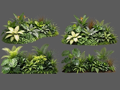 现代主义花境 2D室内植物组团 热带植物组团 花卉花镜 花草植物组合 花草花丛