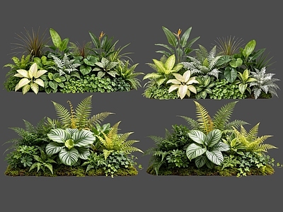 现代花境 2D室内植物组团 热带植物组团 花卉花镜 花草植物组合 花草花丛