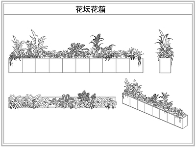 灌木种植 花坛花箱花池