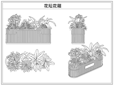 灌木种植 花坛花箱花池