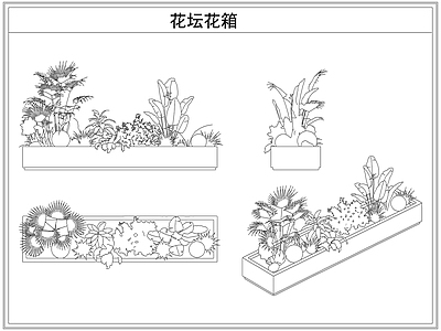 灌木种植 花坛花箱花池