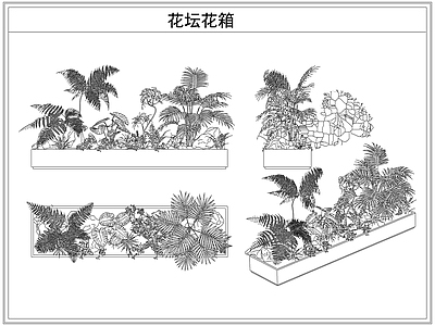 灌木种植 花坛花箱花池