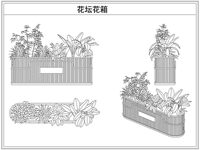 灌木种植 花坛花箱花池