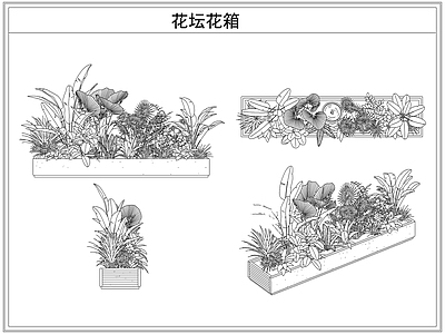 灌木种植 花坛花箱花池