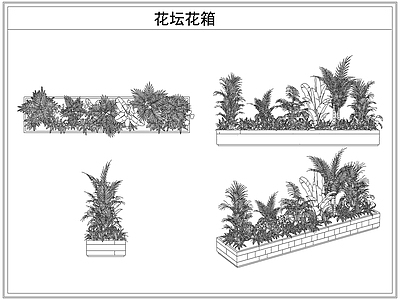 灌木种植 花坛花箱花池