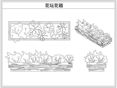 灌木种植 花坛花箱花池