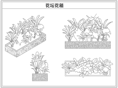 灌木种植 花坛花箱花池