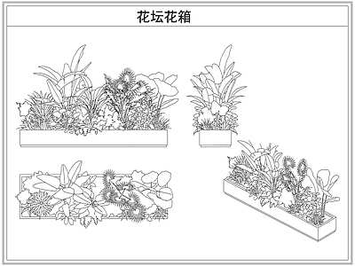 灌木种植 花坛花箱花池