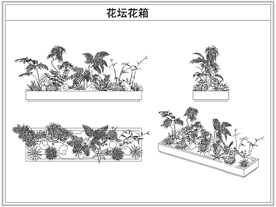 灌木种植 花坛花箱花池