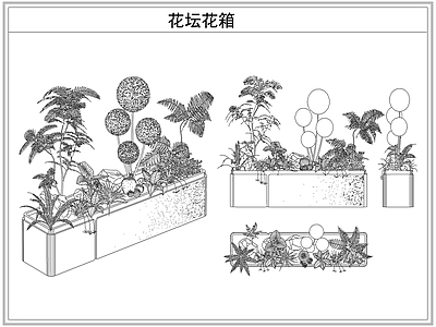 灌木种植 花坛花箱花池