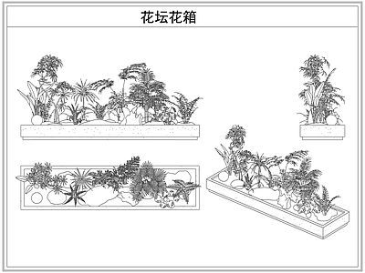 灌木种植 花坛花箱花池