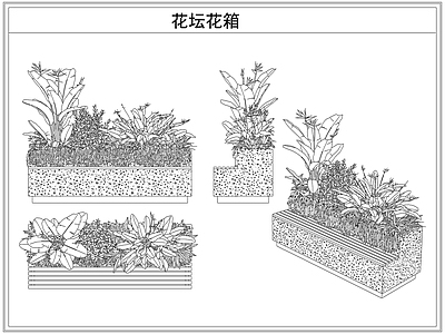 灌木种植 花坛花箱花池