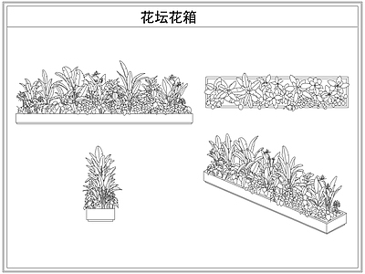 灌木种植 花坛花箱花池
