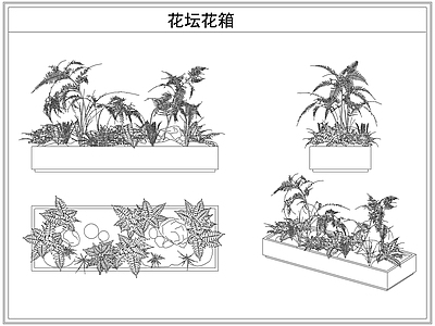 灌木种植 花坛花箱花池