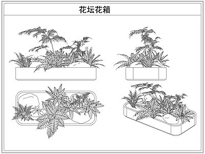 灌木种植 花坛花箱花池