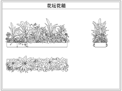 灌木种植 花坛花箱花池